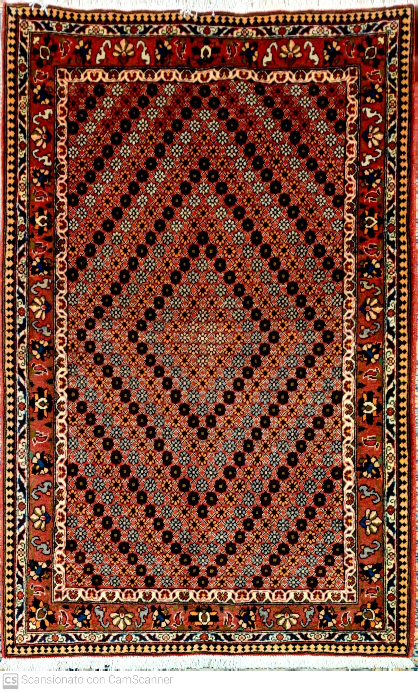 BAKHTIARI 160 x 104 cm