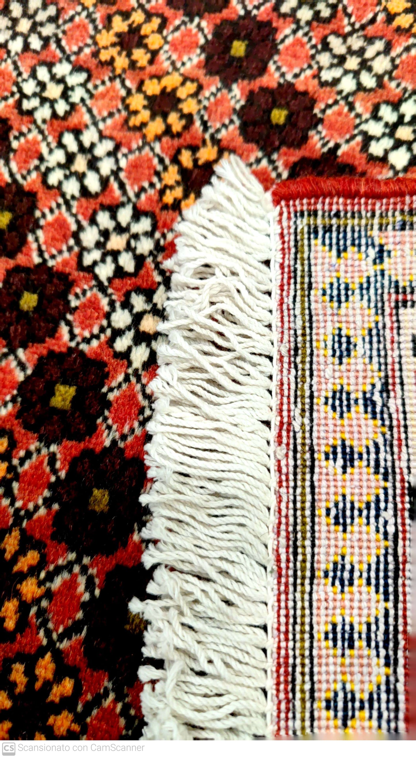 BAKHTIARI 160 x 104 cm