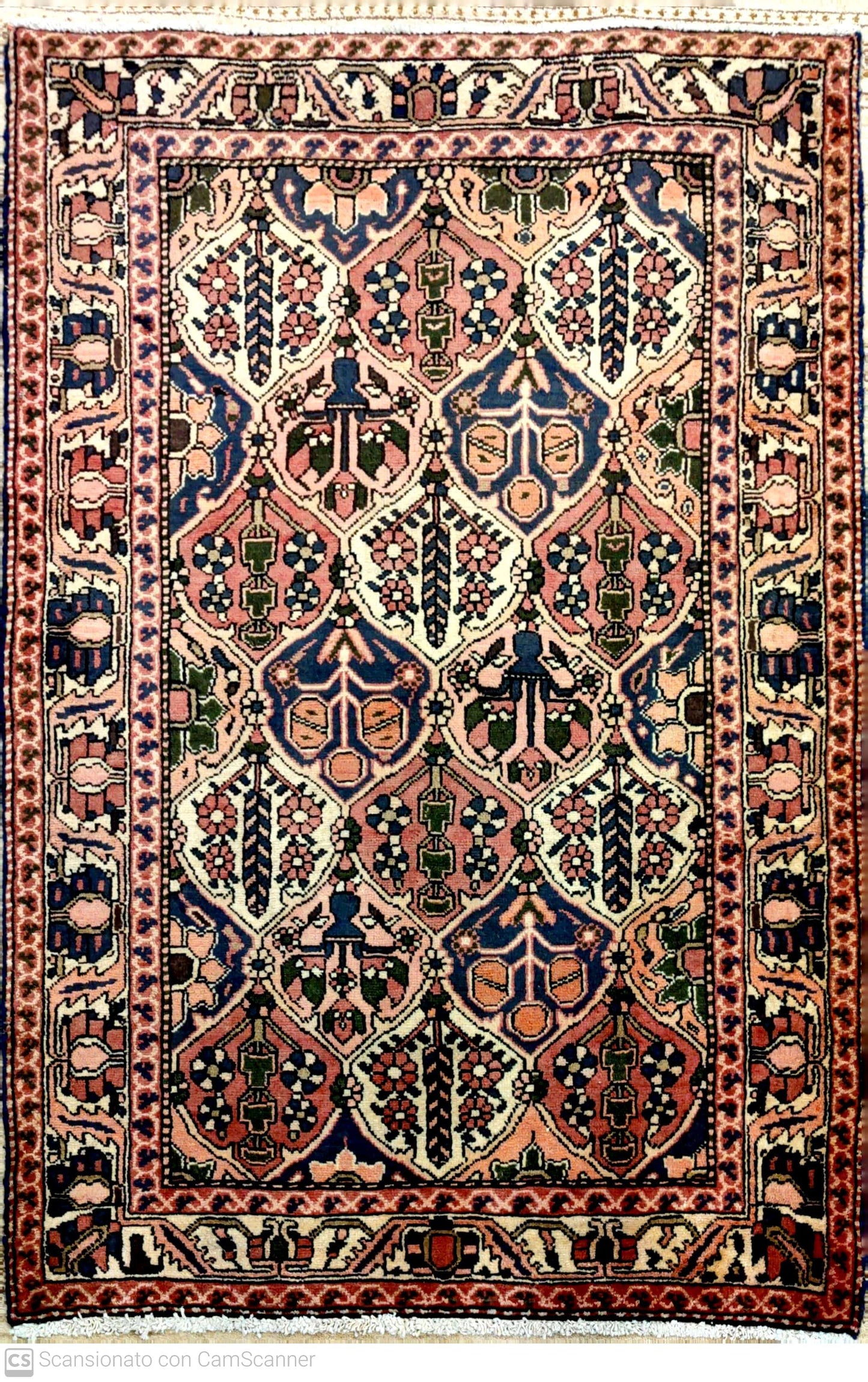 BAKHTIARI  CIPRESSI 164 x 115 cm