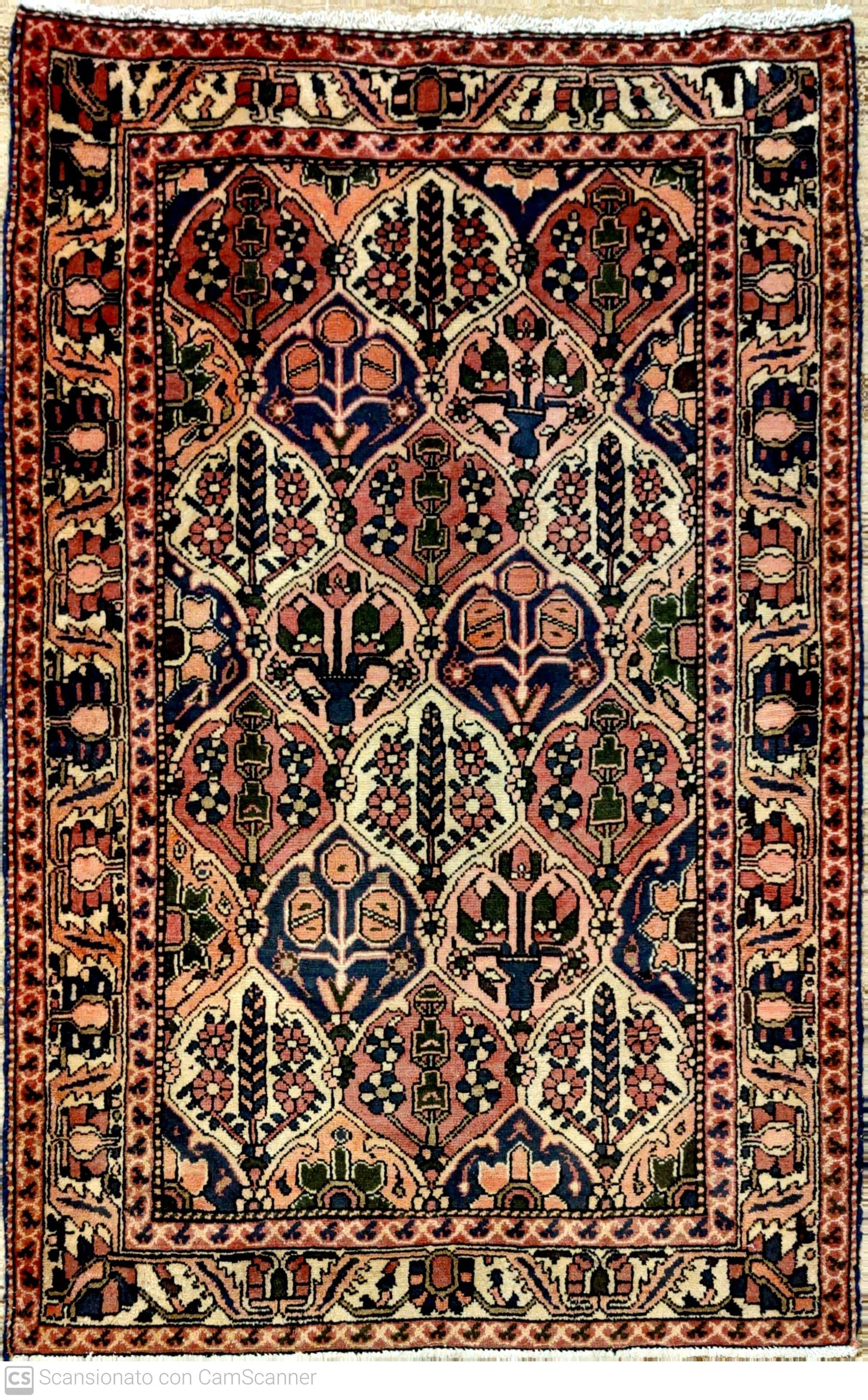 BAKHTIARI  CIPRESSI 164 x 115 cm