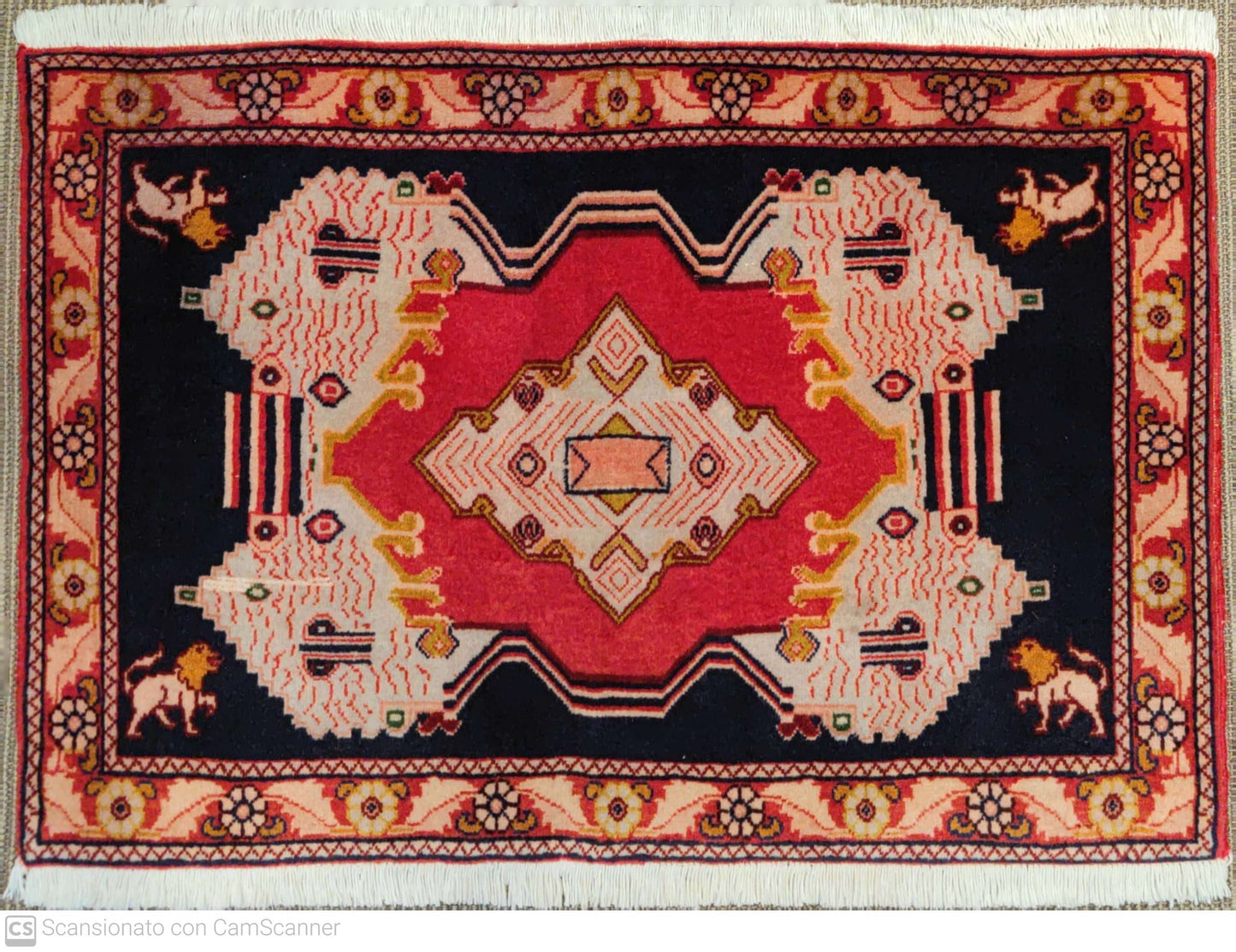 GEMELLI QASHQAI 86 x 56 cm e 85 x 57 cm