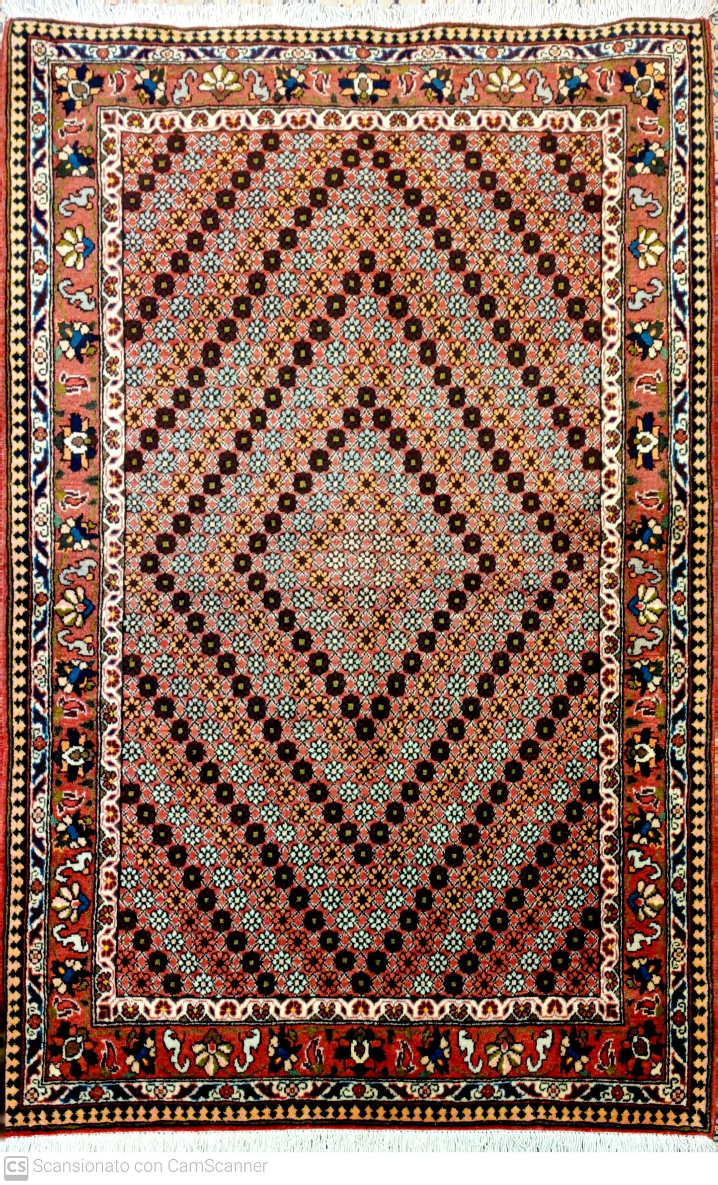 BACHTIARI 160 x 104 cm